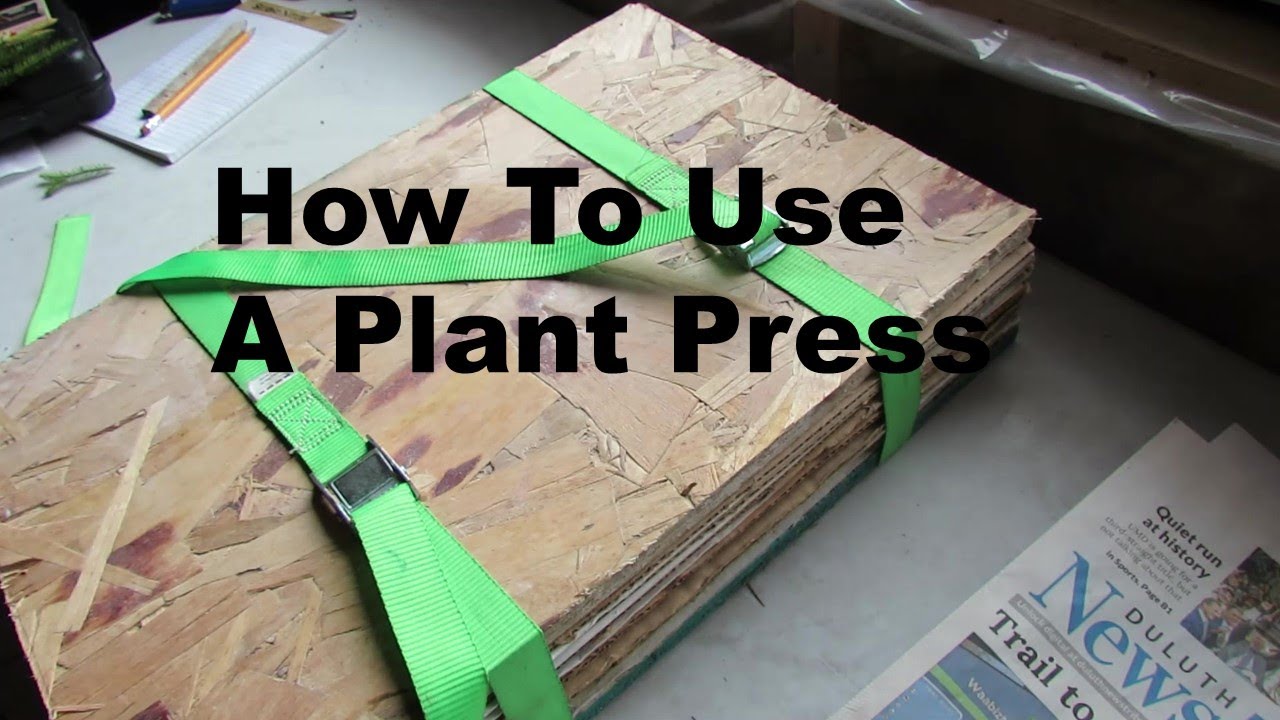 How To Use A Plant Press