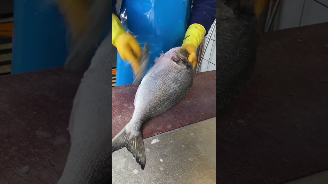 Nikofish- wild sea bream (fish cleaning)