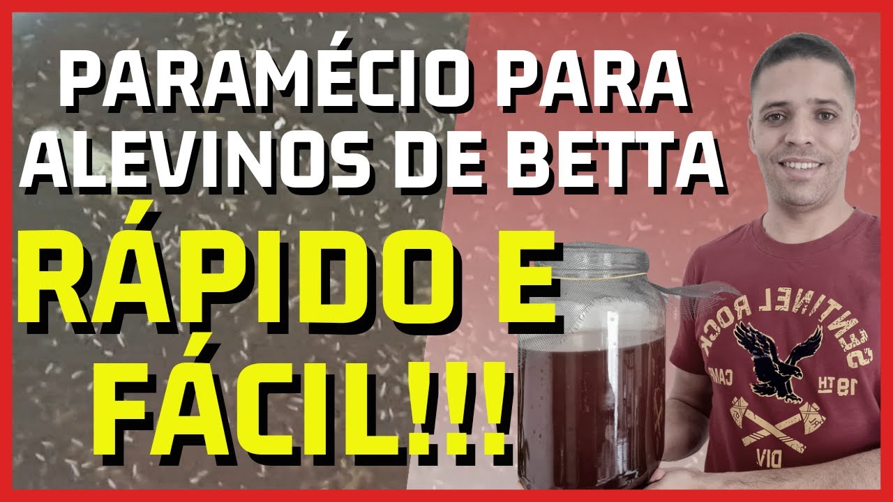 ✅ PARAMÉCIO - ALIMENTO VIVO PARA ALEVINOS DE BETTA RÁPIDO, FÁCIL E SEM START!!!