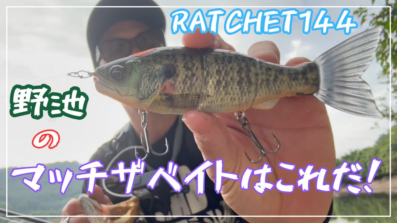 野池でラチェット144は餌だった！【ラチェット144】【おかっぱり】【野池】【GANCRAFT】【ビッグベイト】