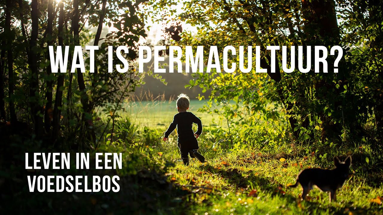 Leven in een Voedselbos volgens Permacultuur Principes. Dit is mijn verhaal!