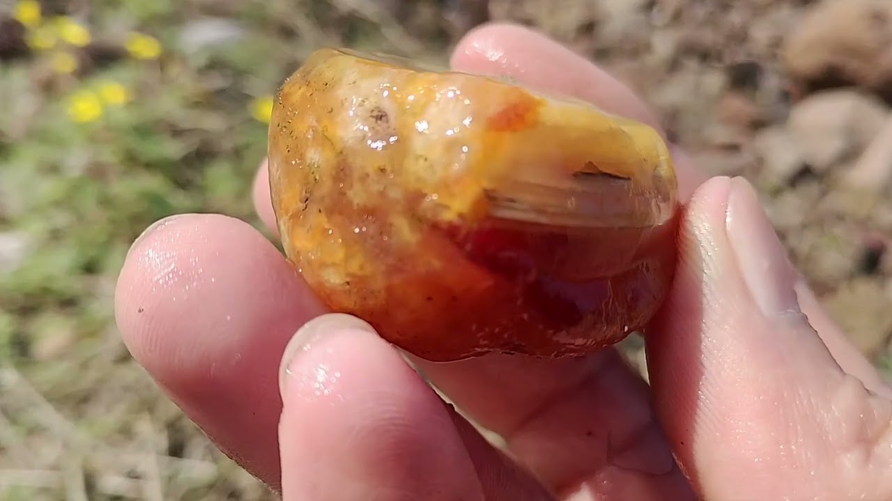 Nossa aventura atras das joias da natureza.