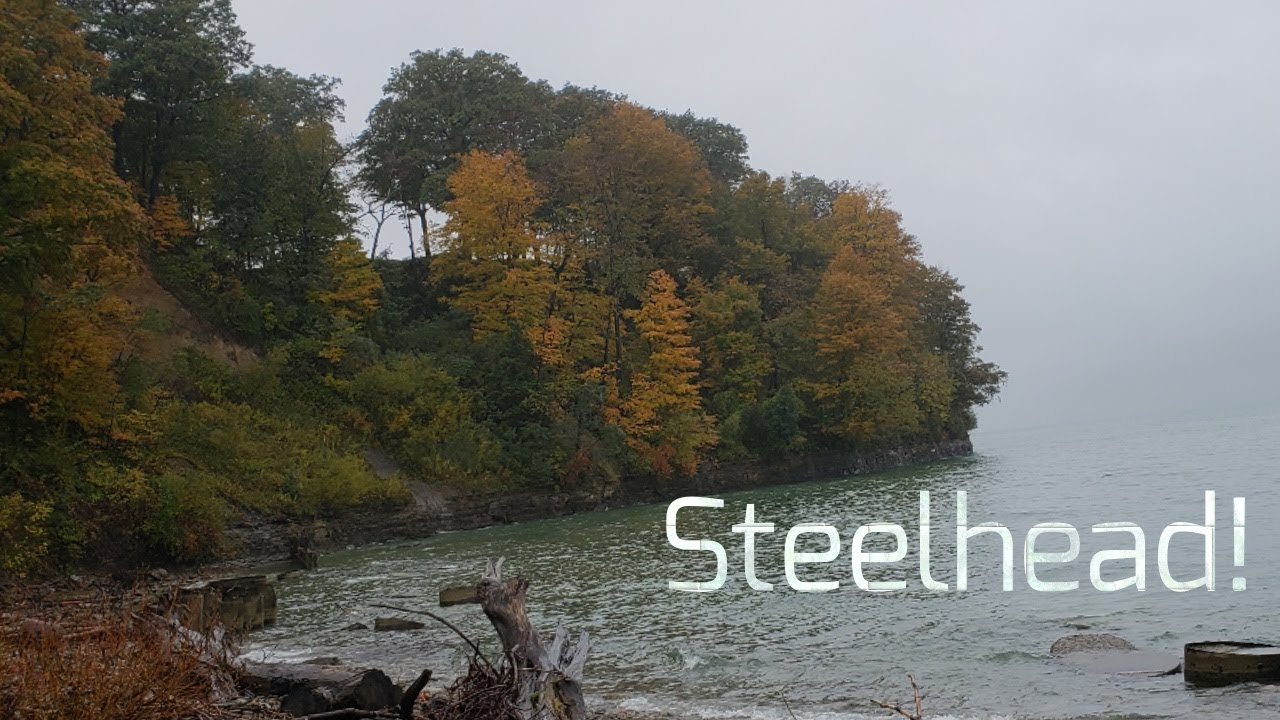 Lake Erie Steelhead Fishing: Part 1