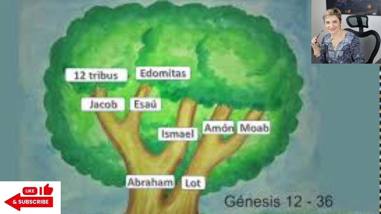 GENERACIONES