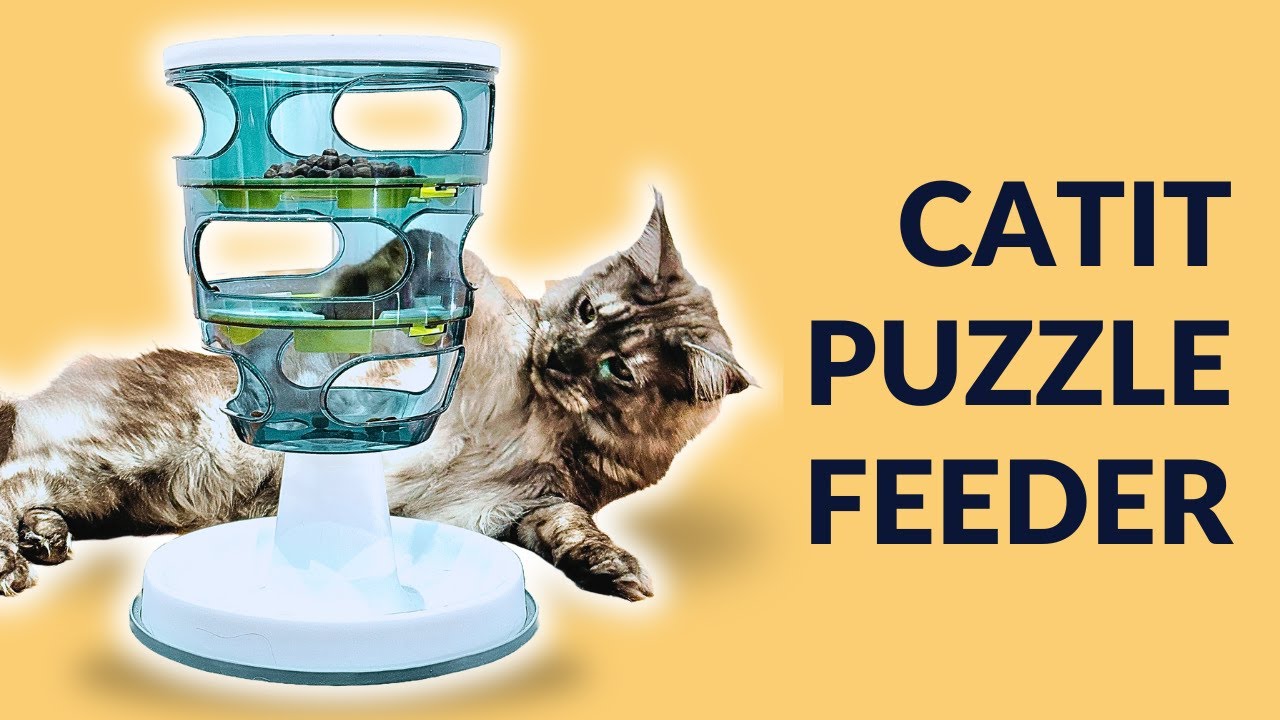 Catit Senses Food Maze: The BEST Cat Puzzle Feeder We've Tested