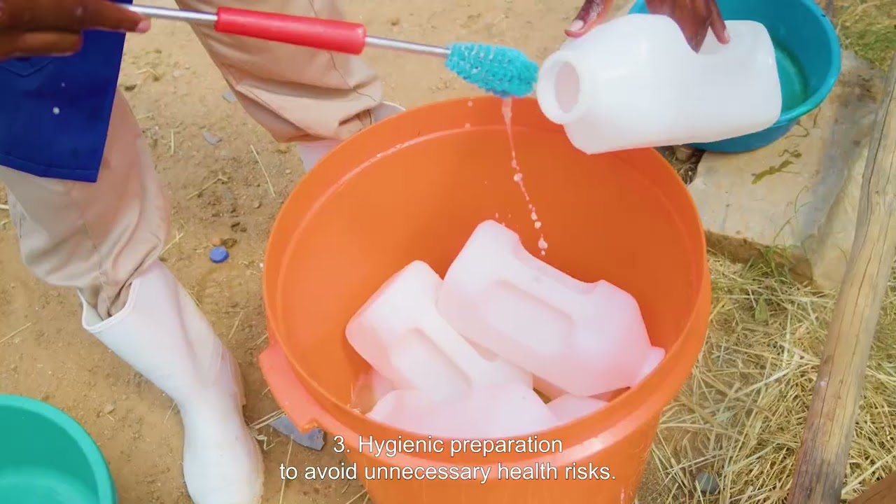 De Heus Farm Up Tutorial: Good calf rearing management