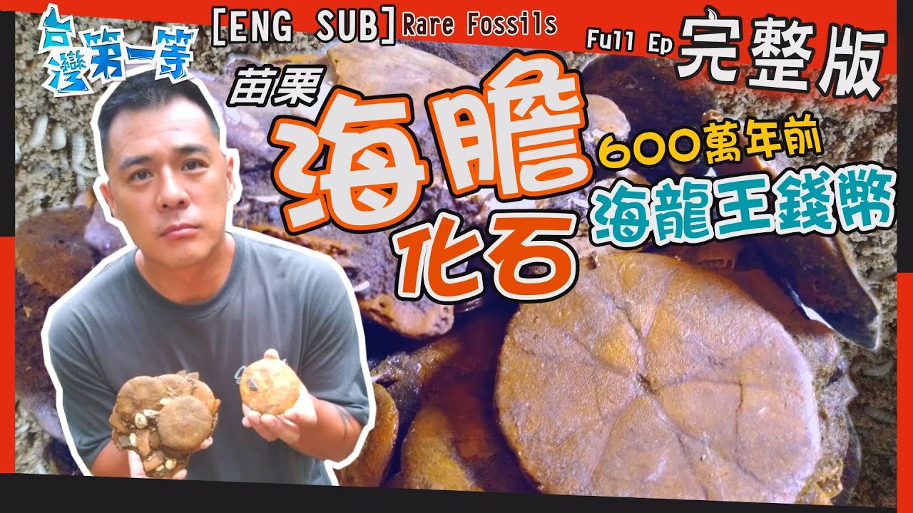 [ENG SUB] 苗栗 RARE FOSSILS【深山藏海膽?  百萬年前罕見化石 / 地表最強清道夫  百億身價黑鑽石】│2021.09.26│《台灣第一等》完整版