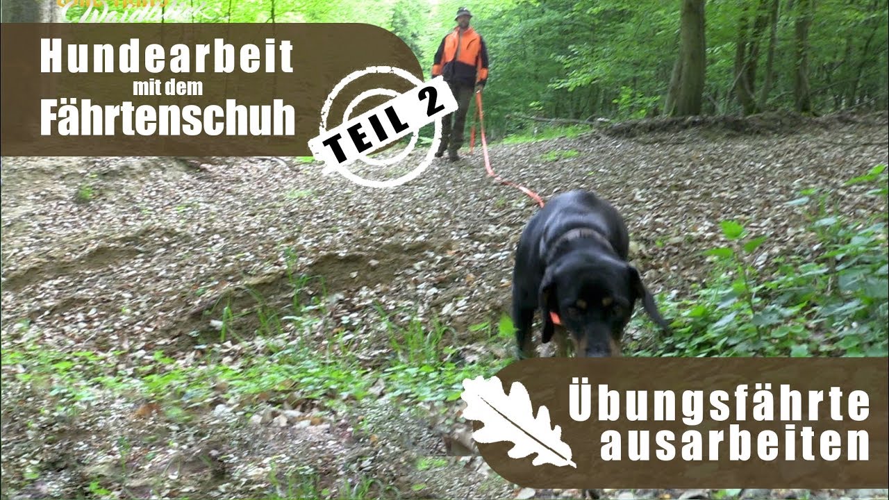 Hundearbeit mit dem F&auml;hrtenschuh | Teil 2 - &Uuml;bungsf&auml;hrte ausarbeiten | Wild und Hund