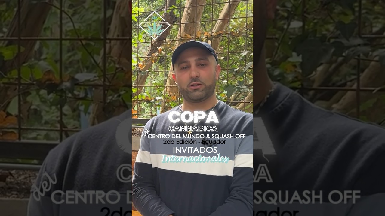 Copa cannabica del CENTRO DEL MUNDO & SQUASH OFF #copa #mundocannabis #squash #cbdcommunity #rosin