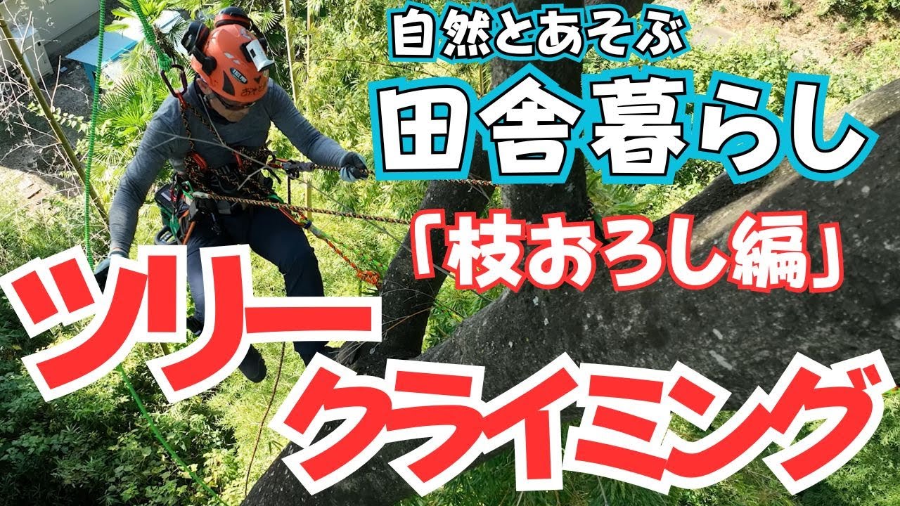 【田舎暮らしVlog】木の上で遊ぶツリークライミング 田舎暮らしは毎日がアクティビティ！特殊伐採のトレーニング