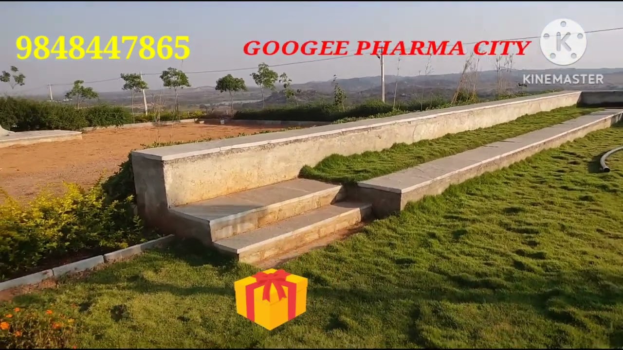 GOOGEE PHARMA CITY