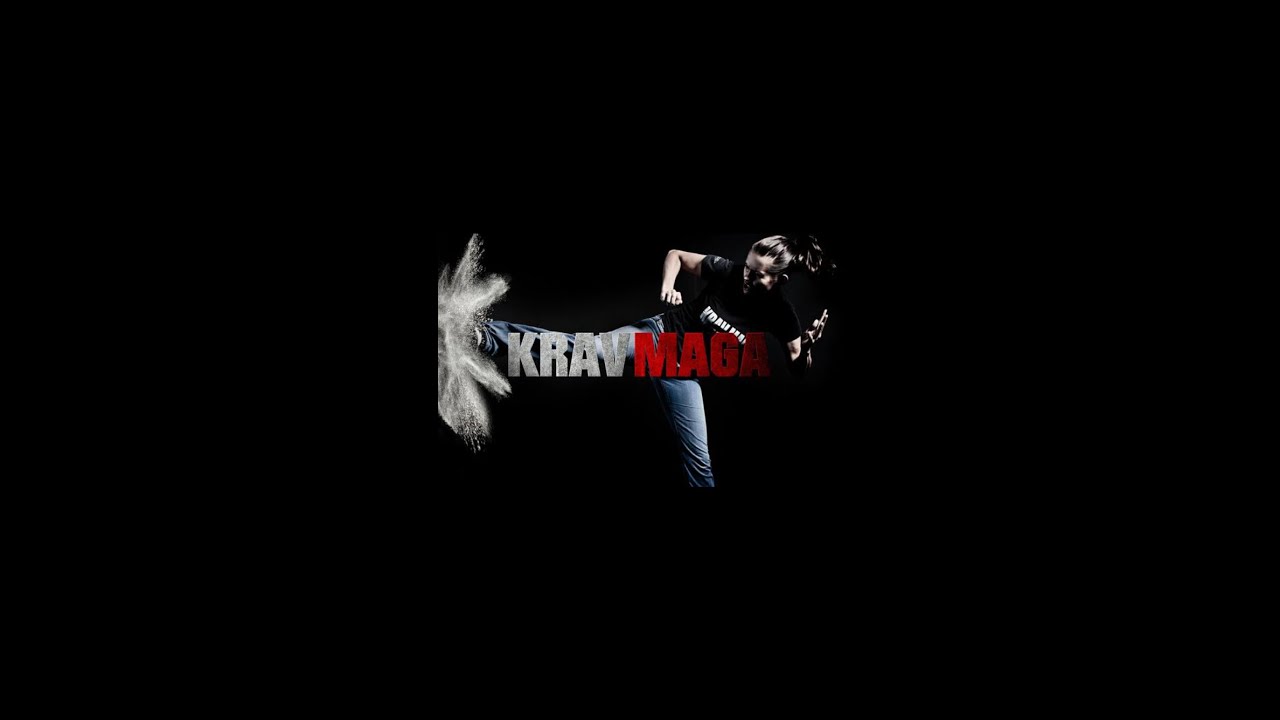 krav Maga défense coups de pied circulaire