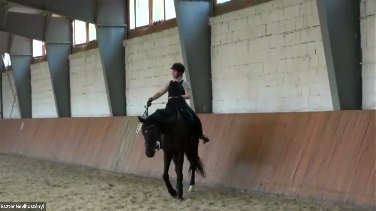 Eszter and Zamir 7 26 24