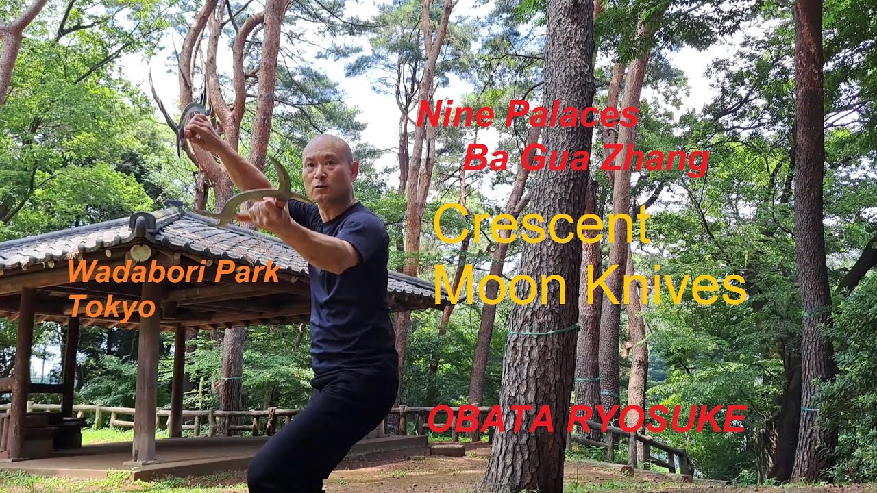 “Crescent Moon Knives”, Ba-Gua-Zhang Hidden Weapon
