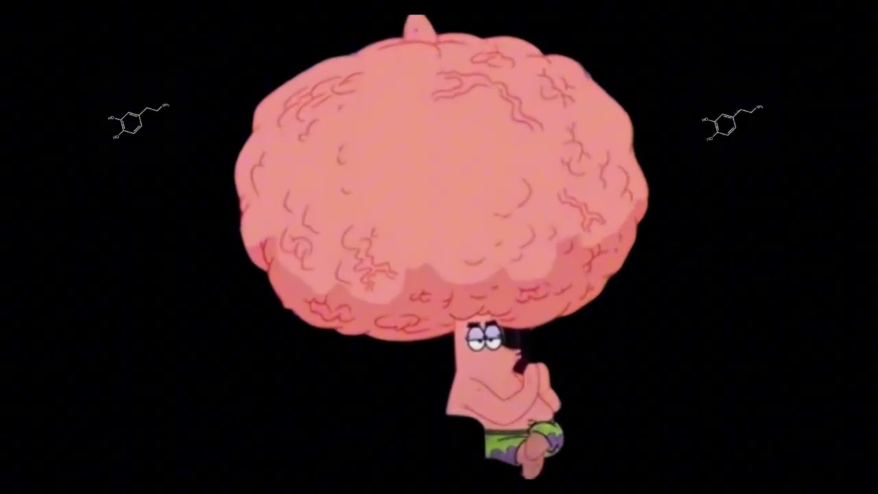 Dopamine and Love