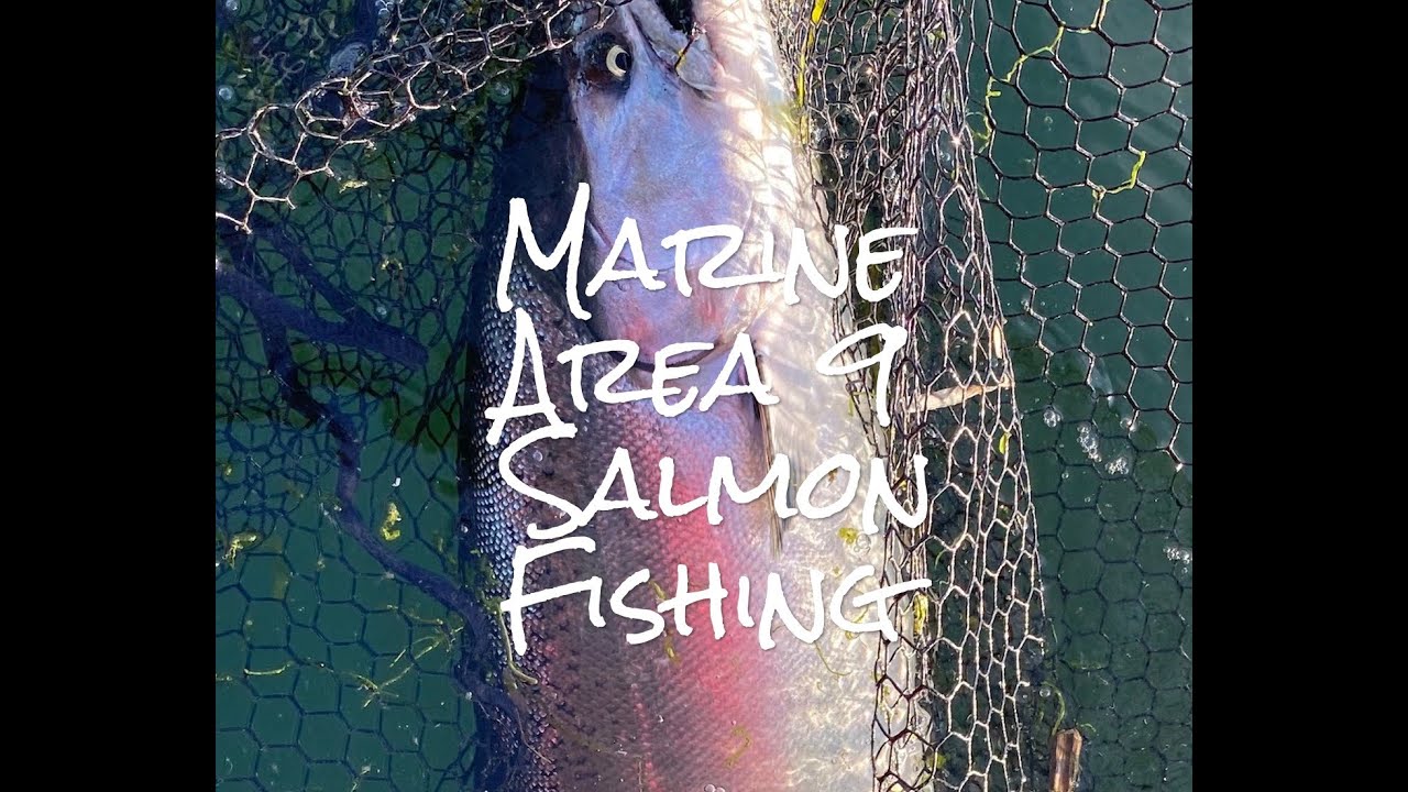 Marine Area 9 Salmon Fishing - July 2023 - The tides determine where you fish!