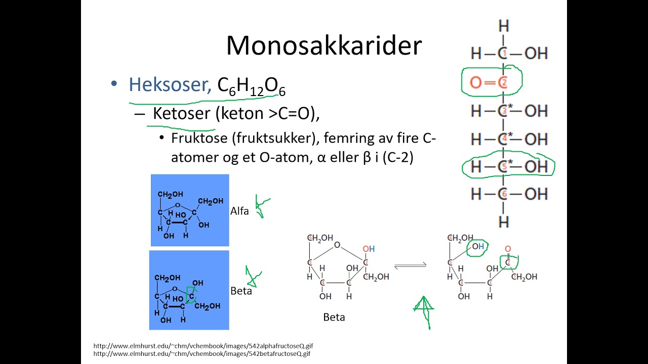Kjemi 2 - Næringsstoffer karbohydrater