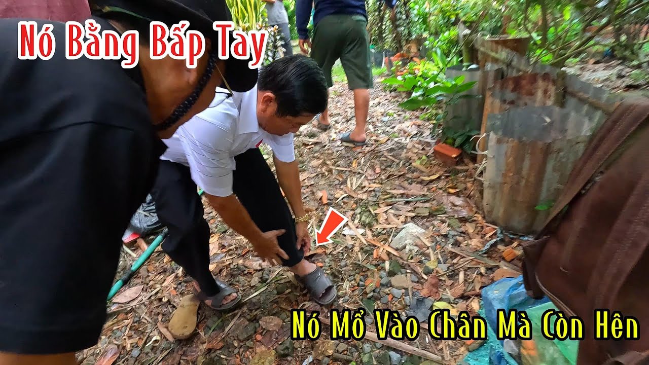 Đồng Tháp : Tui Mà Chạy Không Kịp Là Nó C.ắn Vào Chân Tui Rồi Con Này 100% Là Hổ Mang | MTSB
