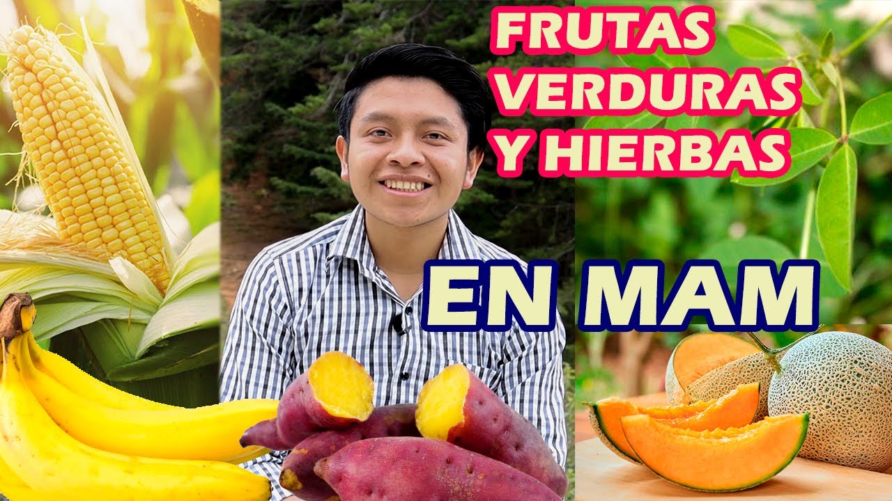 LAS FRUTAS, VERDURAS, HIERBAS EN EL IDIOMA MAM | IDIOMA MAYA