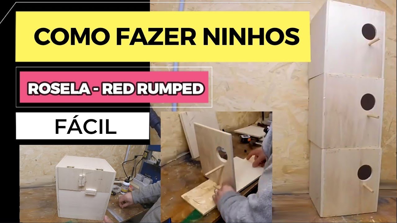Como fazer Ninho para Pássaros Exóticos #passaros
