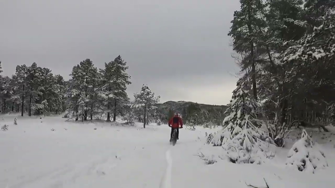 Boxing day and fresh snow