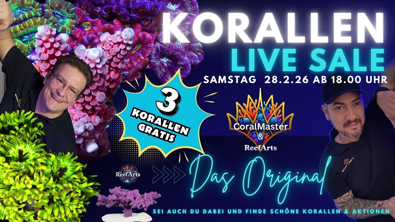 🐠 LIVE Korallen Sale beim CORAL MASTER in Wiesbaden 🪸 | Exklusive Raritäten & 3 Korallen Gratis 🌊