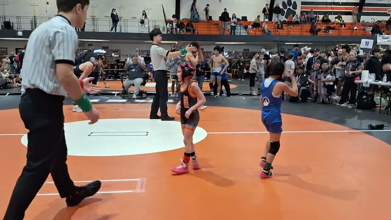 25-26 Mia Wolves tournament (1)