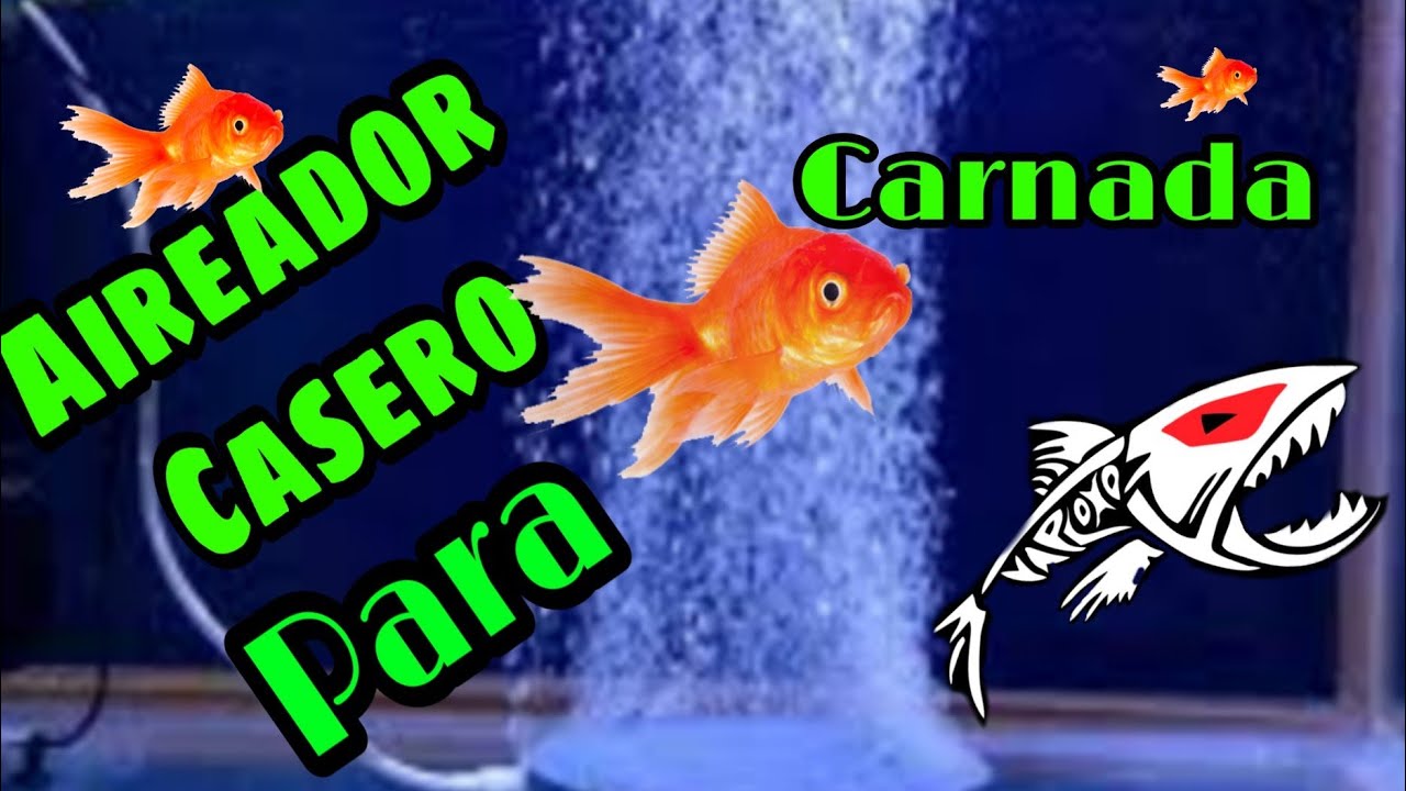 conservar carnada viva Aireador casero