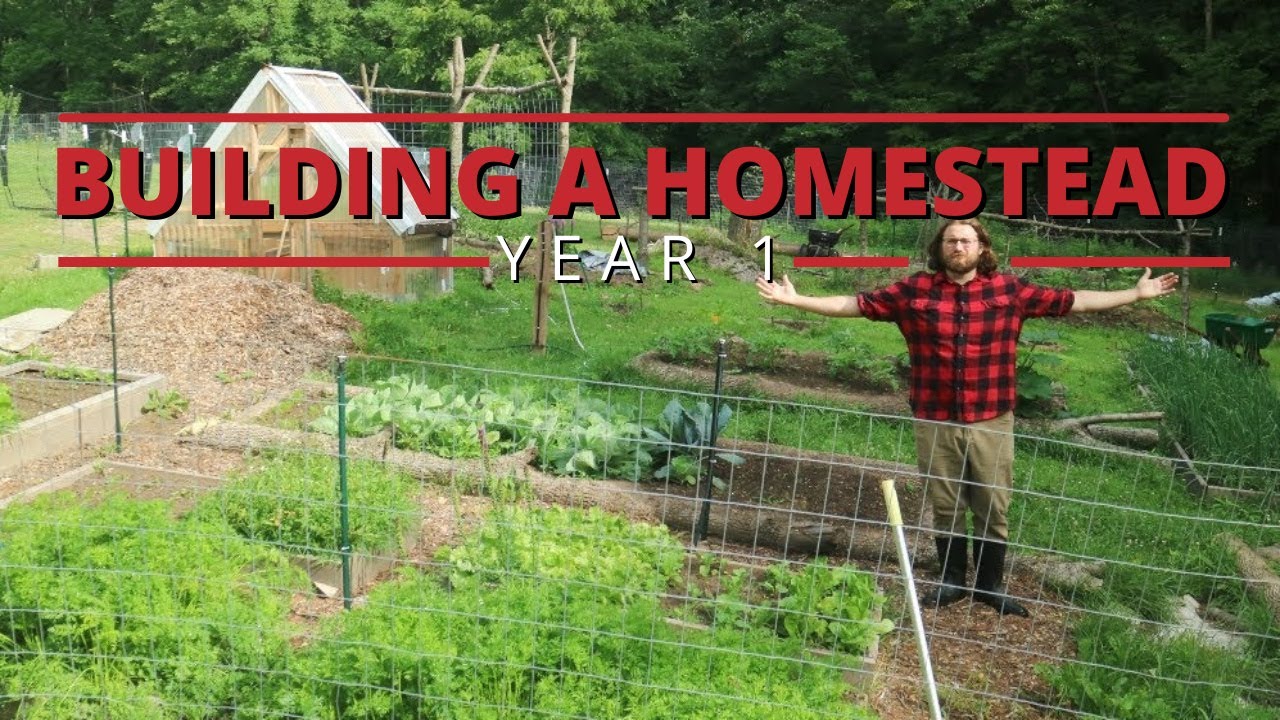 Turning Raw Land into a Sustainable Homestead │ 4 Months in 20 Minutes