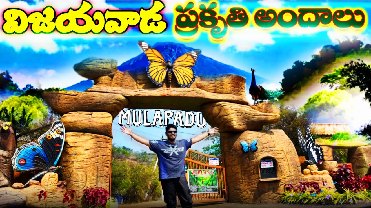 విజయవాడ మూలపాడు బట్టర్ ఫ్లై పార్క్🦋  | BUTTER FLY PARK | TRAVEL VLOG | MULAPADU |