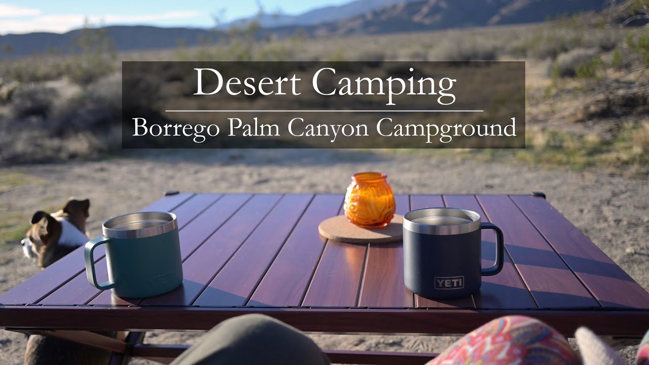Desert Camping | Borrego Palm Canyon Campground