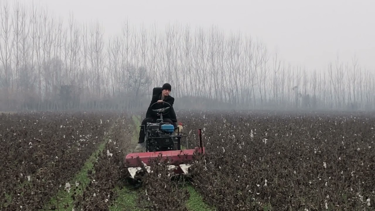Qo’lbola traktor sinovdan otdi. Ustasini nomeri tel: 91.004.98.23