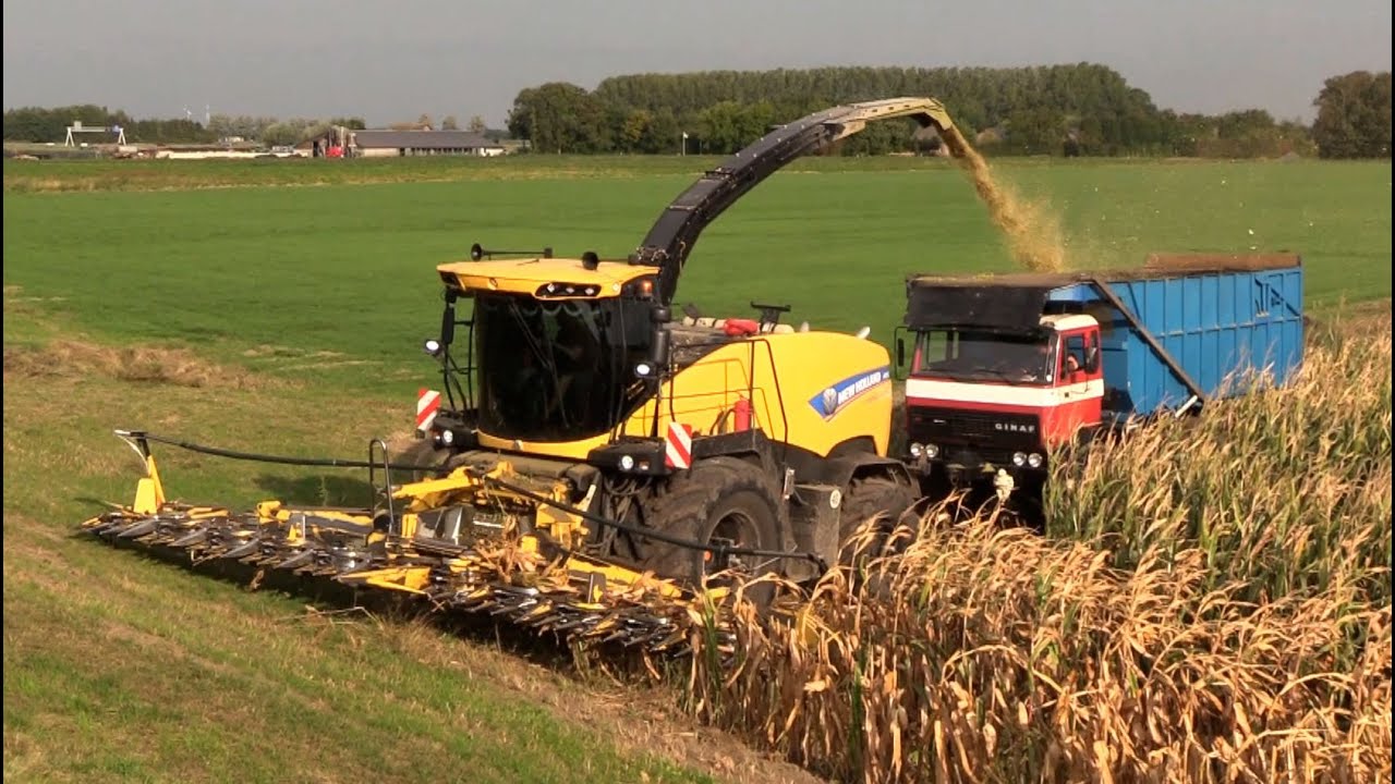Maïs 2025 |  Opgepimpte NH 920 met 12 rijer | zwart rokende NH 7060+open pipe | speciale MF | Ginaf
