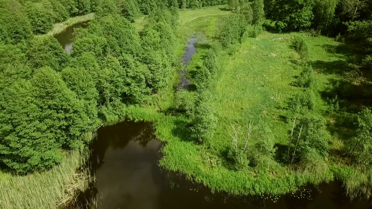 р.Неман (район Яселевич)