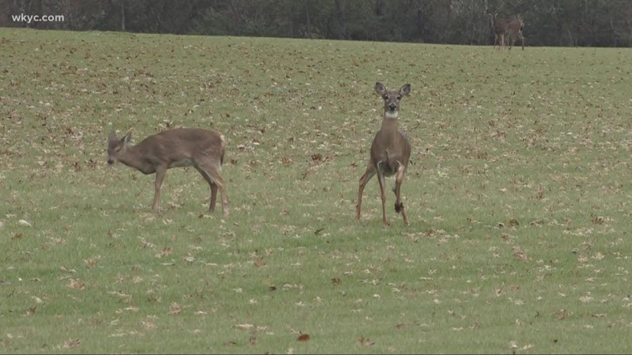 Deer hunting accident takes life of Elyria native