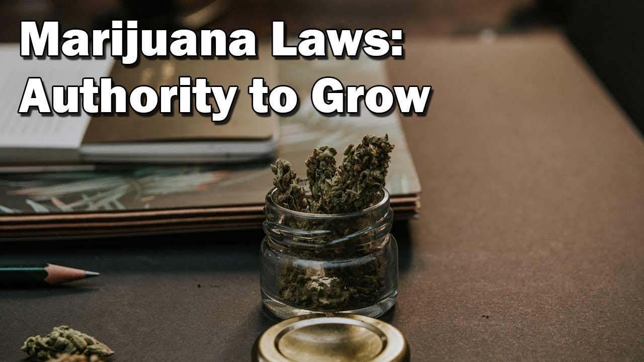 Authority to Grow Legal Marijuana in Louisiana | Carl Barkemeyer, Criminal Defense Attorney
