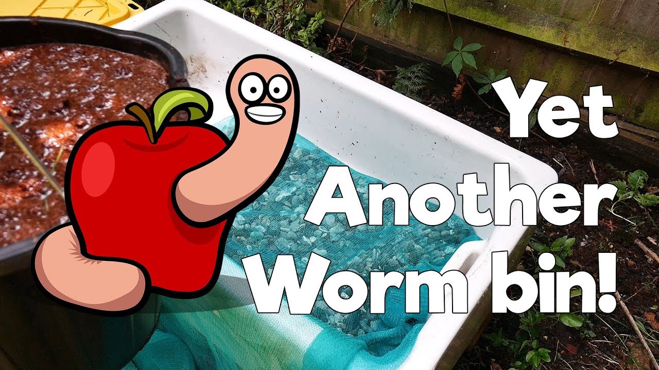 Starting yet ANOTHER worm bin using a large ceramic sink