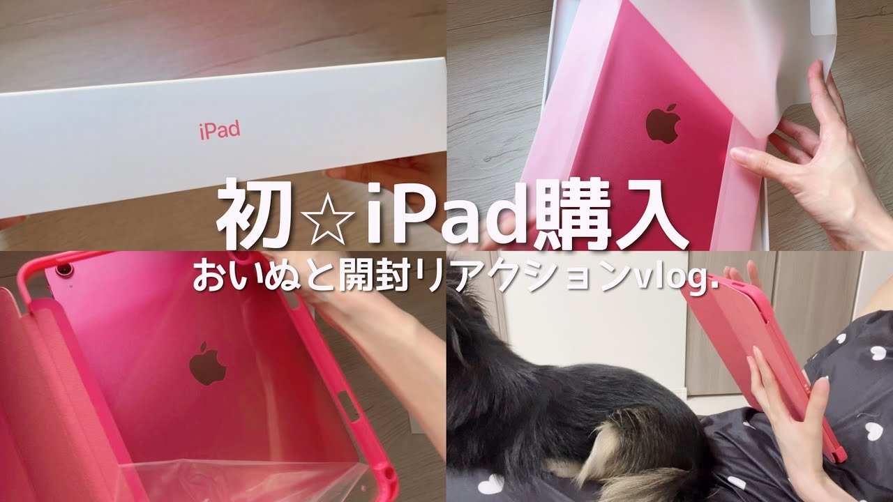 【購入品】遂にiPadを買ったアラサー。