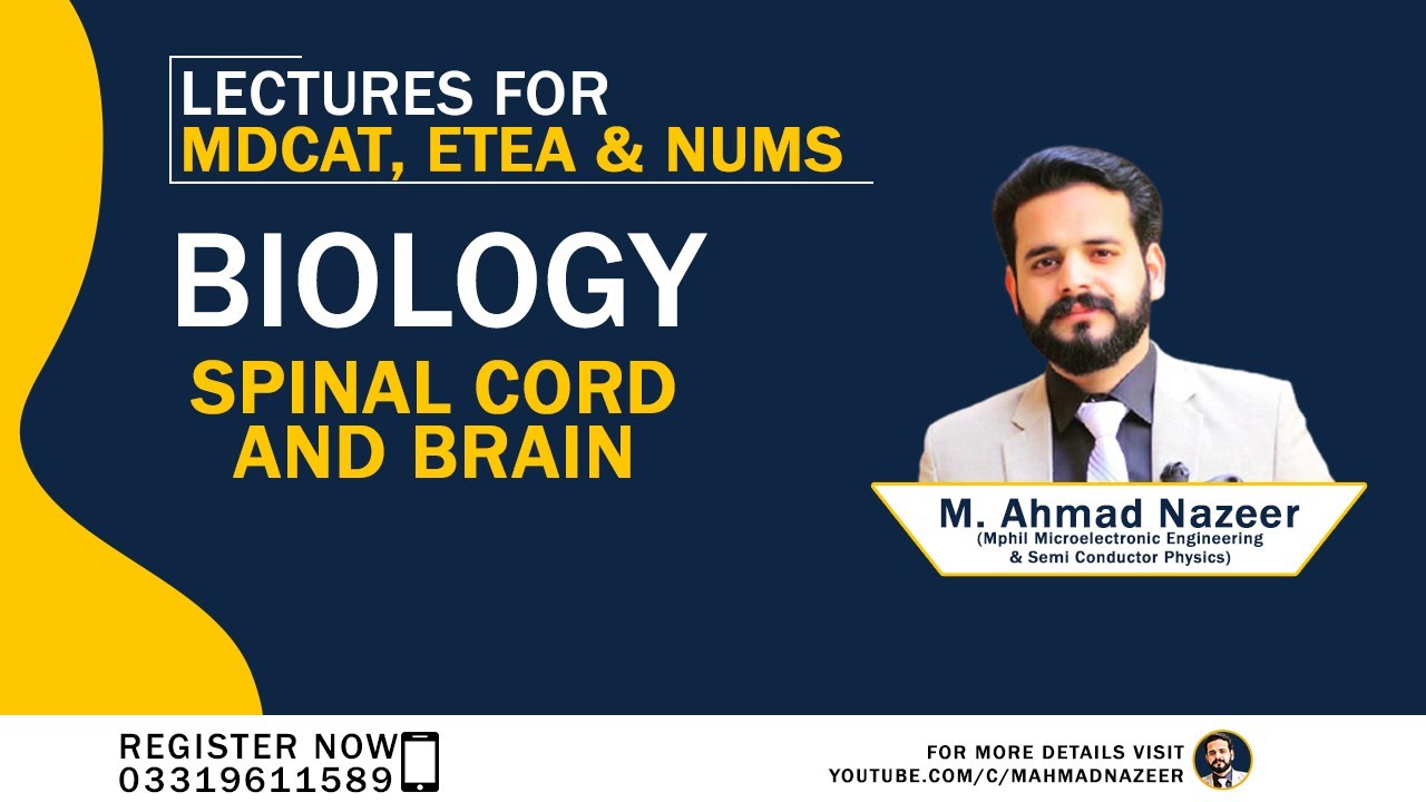 SPINAL CORD AND BRAIN|NERVOUS COORDINATION |NMDCAT BIOLOGY LECTURE |M AHMAD NAZEER