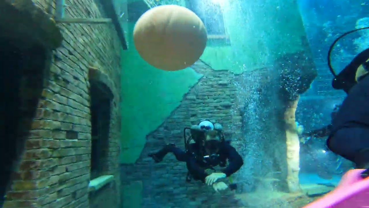 Deep Dive Dubai