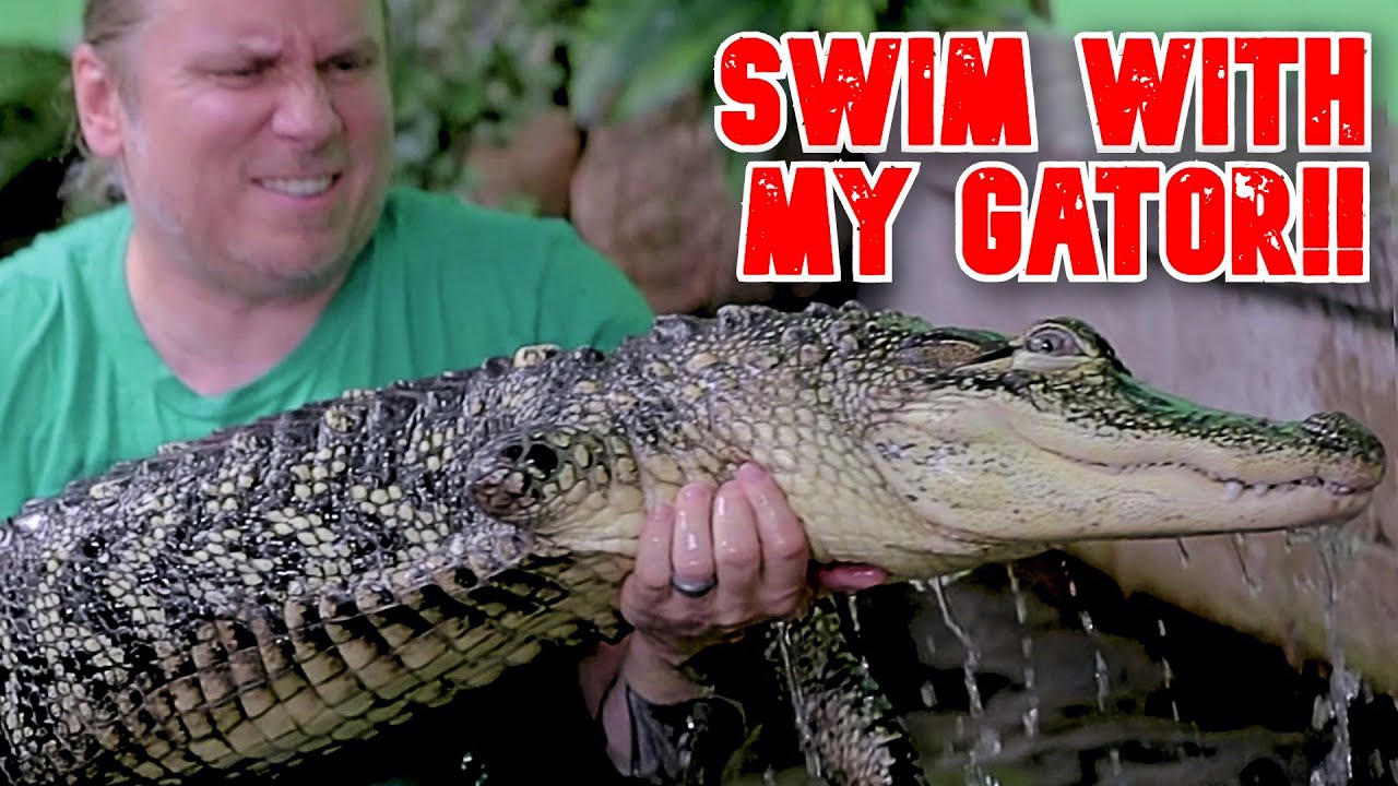 SWIMMING WITH MY GIANT PET ALLIGATOR!! | BRIAN BARCZYK