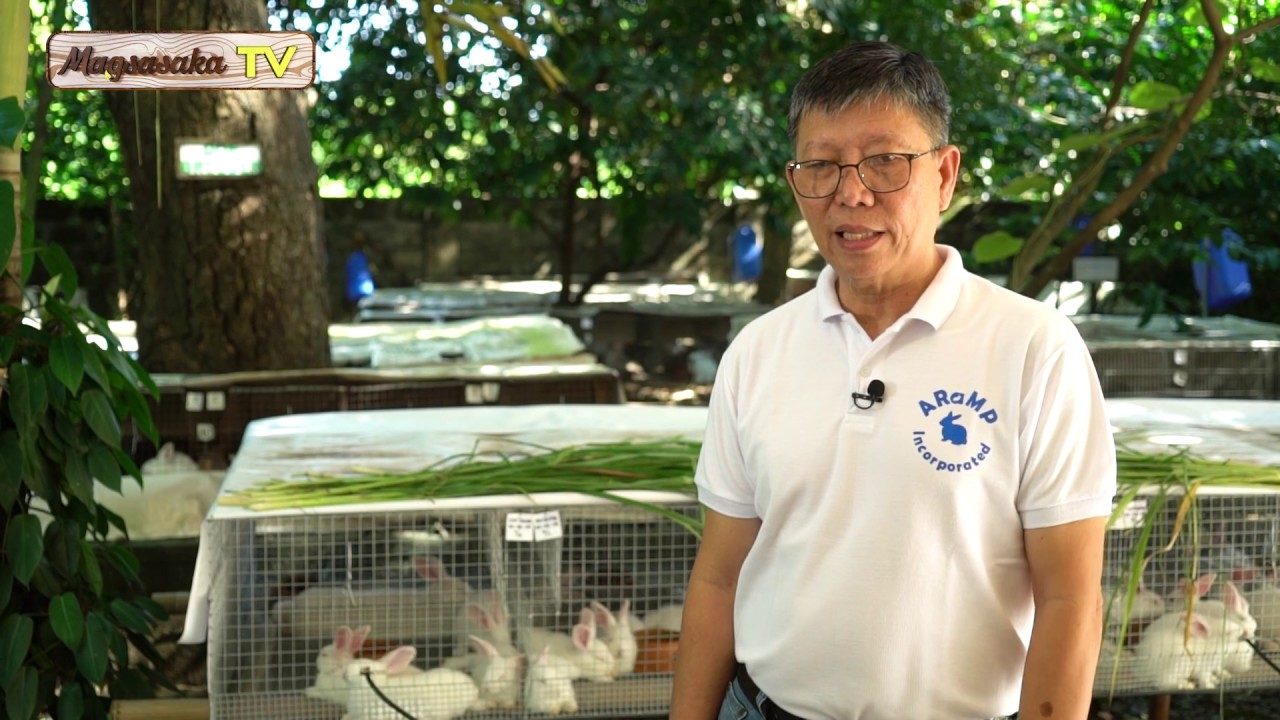 RABBIT FARMING 101