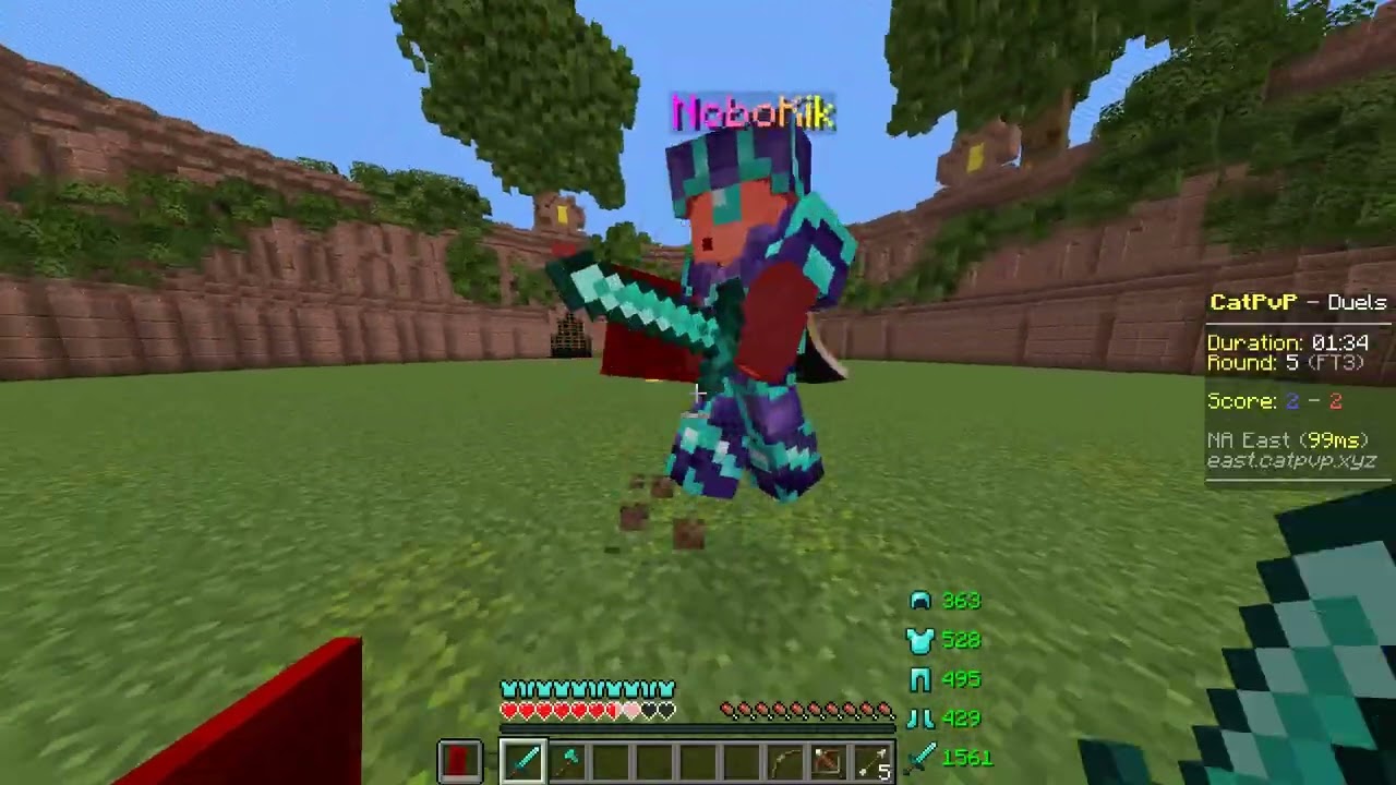 Fighting the owner of catpvp