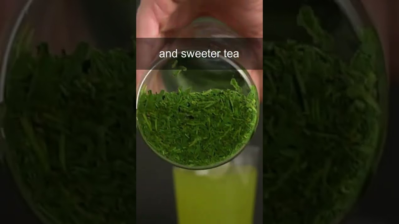 #shorts Brewing green tea with ice cubes 🧊 🍵 #kooridashi #icebrew #col
