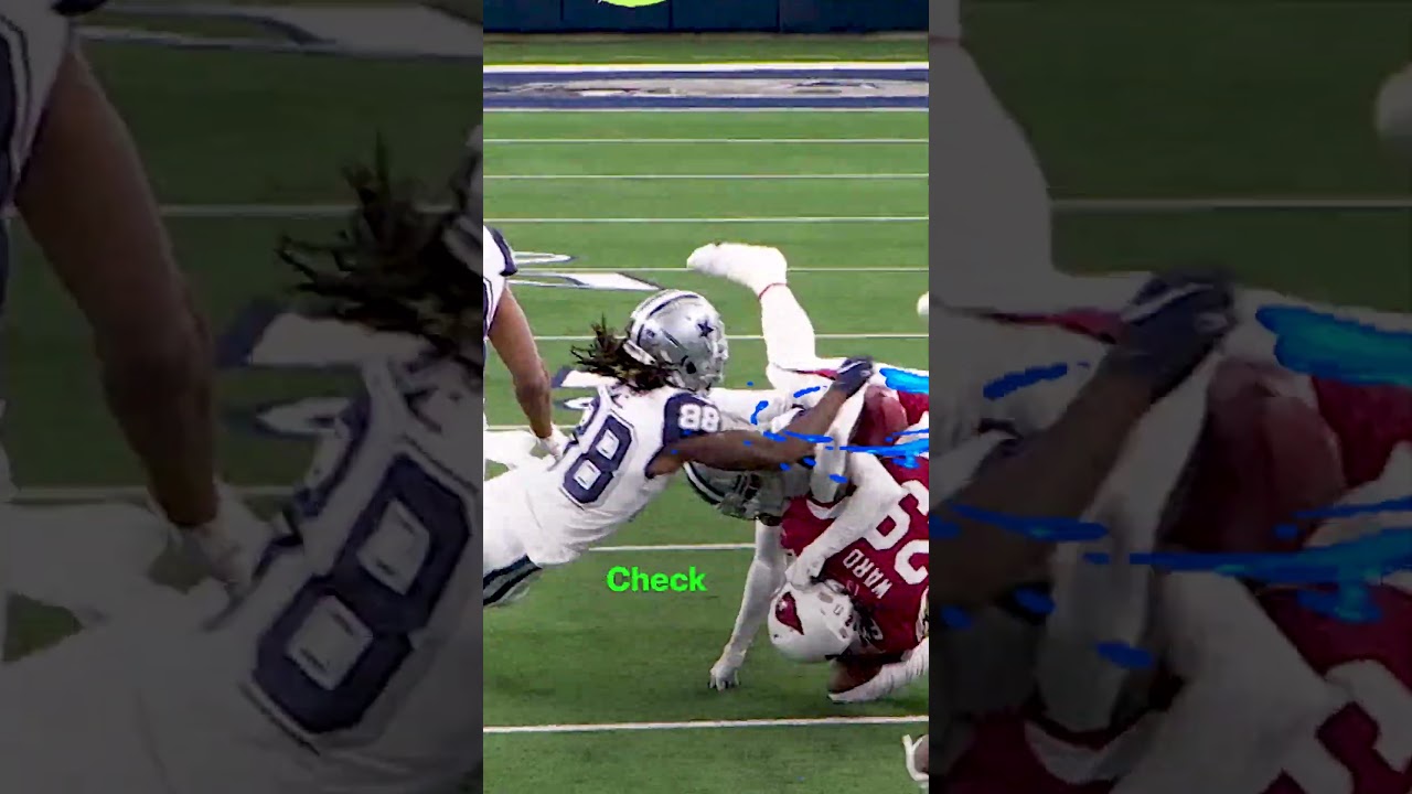NFL Best Play Ever #3