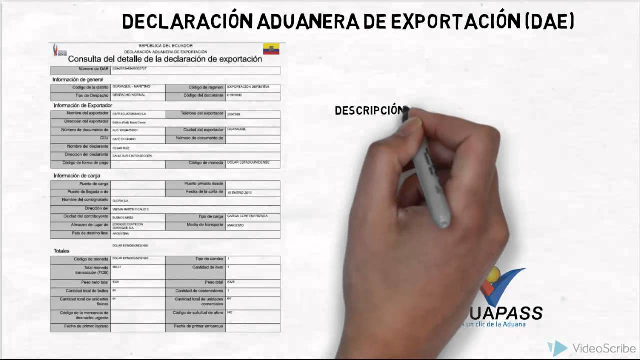 Proceso de Exportacion