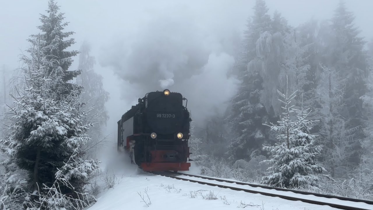 Schnee im Harz in den letzten Januartagen