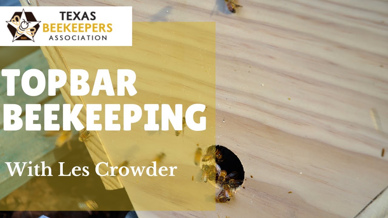 Topbar Beekeeping with Les Crowder