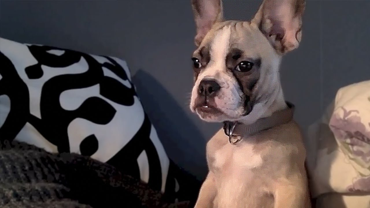 Best of Anton