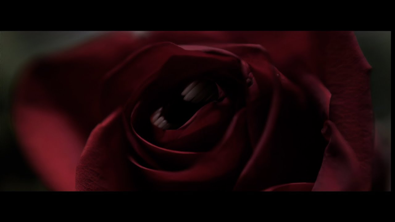 Mark Lanegan - The Gravedigger's Song HD